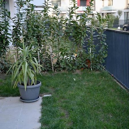 #Minehouse Apartamento Timişoara Exterior foto