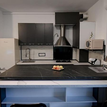 #Minehouse Apartamento Timişoara Exterior foto