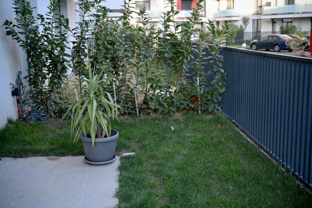 #Minehouse Apartamento Timişoara Exterior foto