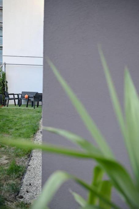 #Minehouse Apartamento Timişoara Exterior foto